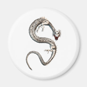 Weißer Drache Magnet