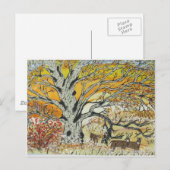 Weißer Eiche und Whitetails Postkarte (Vorne/Hinten)