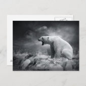 Weißer Eisbär auf Eis im Wasser Postkarte (Vorne/Hinten)