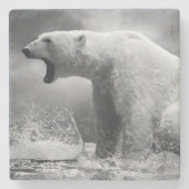 Weißer Eisbär-Jäger auf dem Eis im Wasser Steinuntersetzer (Vorderseite)
