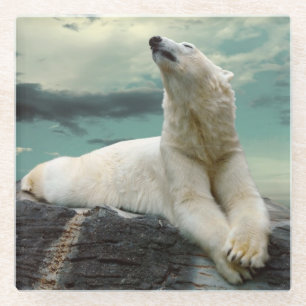 Weißer Eisbär-Jäger auf Felsen Glasuntersetzer