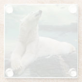 Weißer Eisbär-Jäger auf Felsen Glasuntersetzer (Rückseite)
