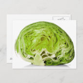Weißer Eisbergsalat Postkarte (Vorne/Hinten)