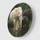 Weißer Elefant mit Familie Große Wanduhr (Winkel)