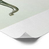 Weißer Elefant Poster (Ecke)