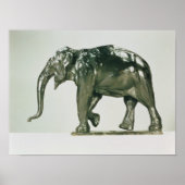 Weißer Elefant Poster (Vorne)