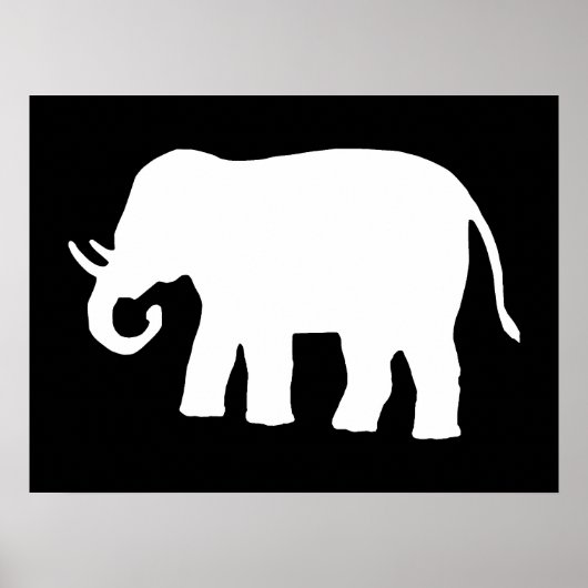 Weißer Elefant Poster (Vorne)