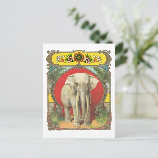 Weißer Elefant Postkarte (Stehend Vorderseite)