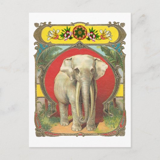 Weißer Elefant Postkarte (Vorderseite)
