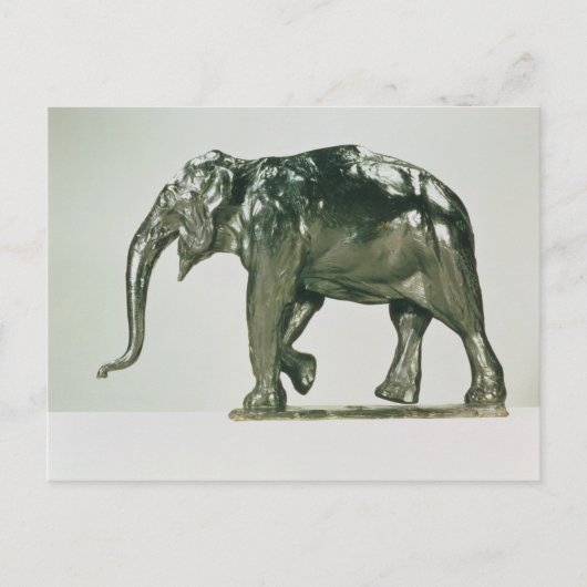 Weißer Elefant Postkarte (Vorderseite)