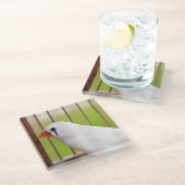 Weißer finster Vogel in Käfig Glasuntersetzer (Schrägansicht)