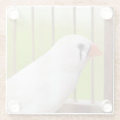 Weißer finster Vogel in Käfig Glasuntersetzer (Rückseite)