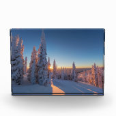 Weißer Fisch, Montana Fotoblock (Vorderseite)