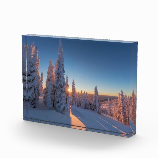 Weißer Fisch, Montana Fotoblock (Rechts)
