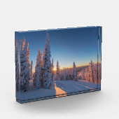 Weißer Fisch, Montana Fotoblock (Links)
