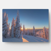 Weißer Fisch, Montana Fotoplatte (Vorderseite)