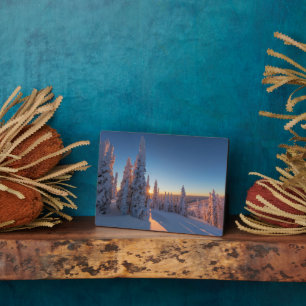 Weißer Fisch, Montana Fotoplatte