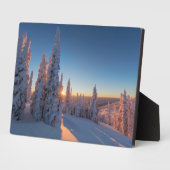 Weißer Fisch, Montana Fotoplatte (Seite)