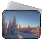 Weißer Fisch, Montana Laptopschutzhülle (Vorderseite)