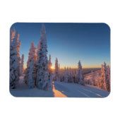 Weißer Fisch, Montana Magnet (Horizontal)