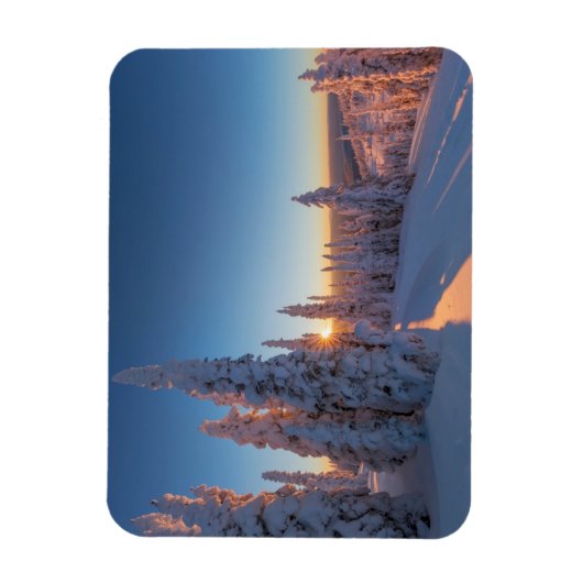 Weißer Fisch, Montana Magnet (Vertikal)