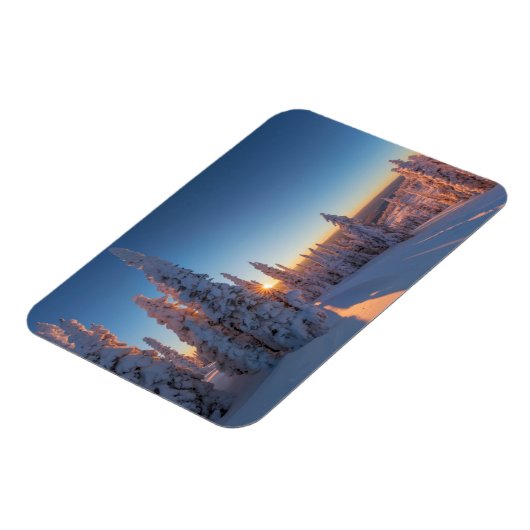 Weißer Fisch, Montana Magnet (Linke Seite)