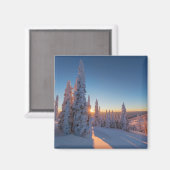 Weißer Fisch, Montana Magnet (Vorderseite/Rückseite)