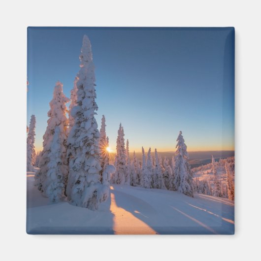 Weißer Fisch, Montana Magnet (Vorne)