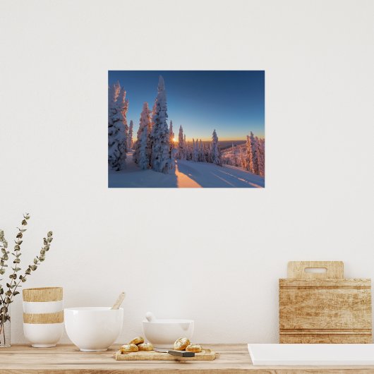 Weißer Fisch, Montana Poster (Küche)