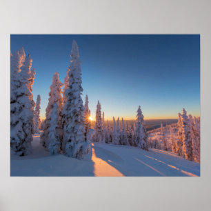 Weißer Fisch, Montana Poster