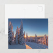 Weißer Fisch, Montana Postkarte (Vorne/Hinten)