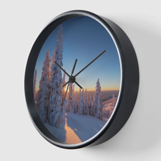 Weißer Fisch, Montana Uhr (Winkel)