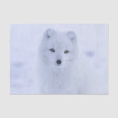 Weißer Fox aus Gewebepapier Seidenpapier (Vorderseite)