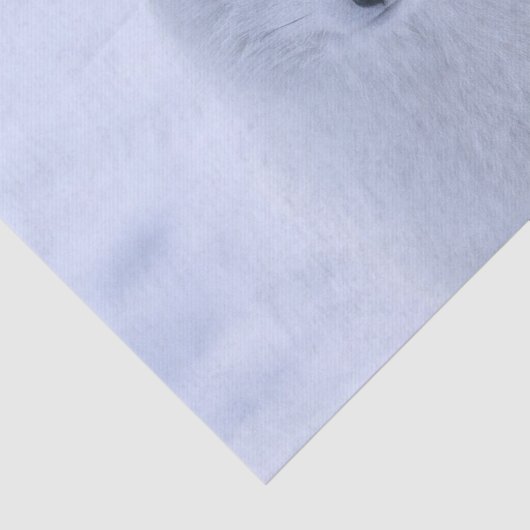 Weißer Fox aus Gewebepapier Seidenpapier (Ausschnitt)