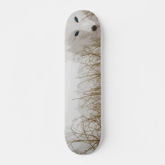 Weißer Fox Skateboard (Vorne)