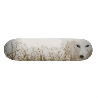 Weißer Fox Skateboard
