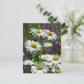 Weißer Frühling in Blüte Postkarte (Stehend Vorderseite)