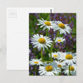 Weißer Frühling in Blüte Postkarte (Vorne/Hinten)