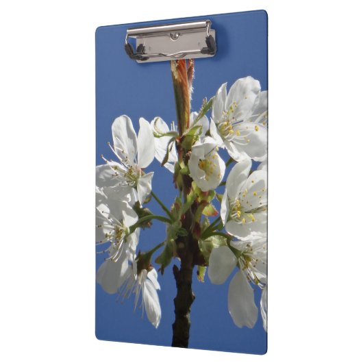 Weißer Frühling Klemmbrett (Links)