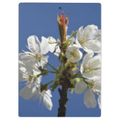 Weißer Frühling Klemmbrett (Rückseite)
