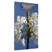 Weißer Frühling Klemmbrett (Rechts)