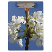 Weißer Frühling Klemmbrett (Vorderseite)