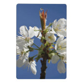 Weißer Frühling Mini Klemmbrett (Rückseite)