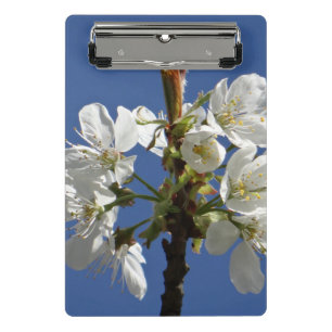 Weißer Frühling Mini Klemmbrett