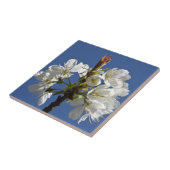Weißer Frühlingsblut Fliese (Seite)