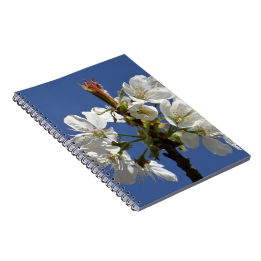 Weißer Frühlingsblut Notizblock (Rechte Seite)