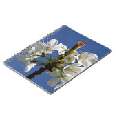 Weißer Frühlingsblut Notizblock (Linke Seite)