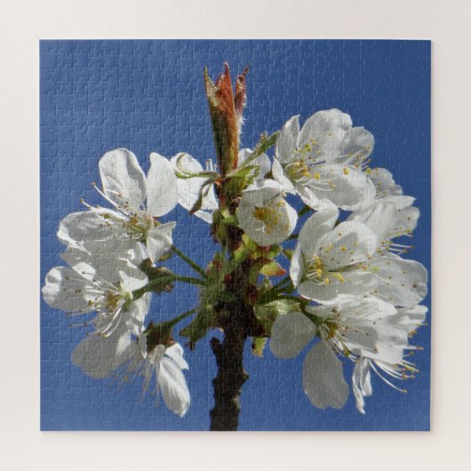 Weißer Frühlingsblut Puzzle (Vertikal)