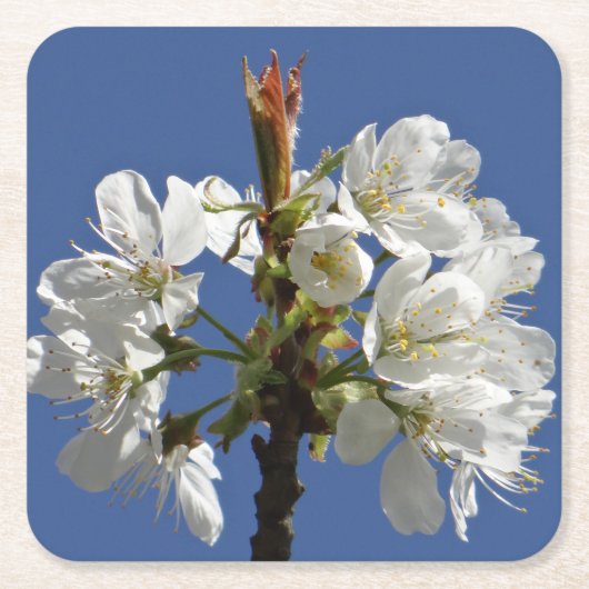 Weißer Frühlingsblut Rechteckiger Pappuntersetzer (Vorderseite)