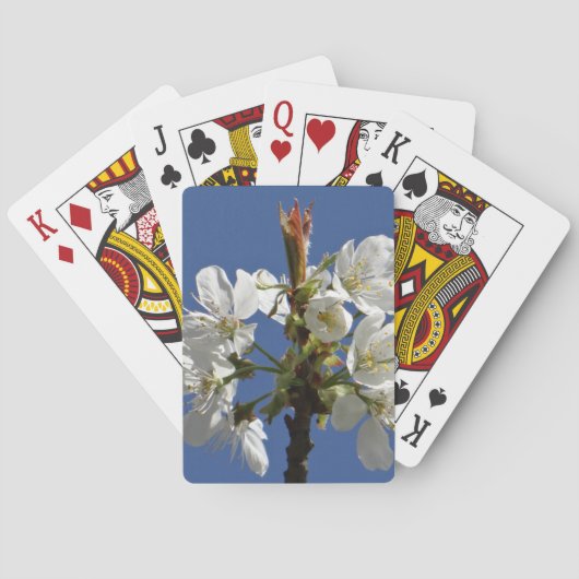 Weißer Frühlingsblut Spielkarten (Rückseite)